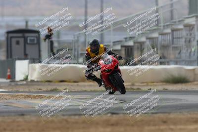 media/Mar-02-2025-Race Pace (Sun) [[8bec80ae00]]/12-Vested (Turn 2) 1111am/